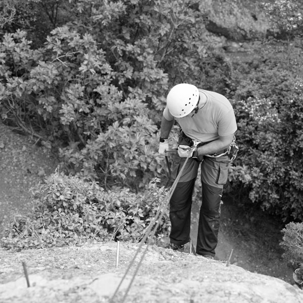 PLANIFICACIÓN DE LA ACTIVIDAD